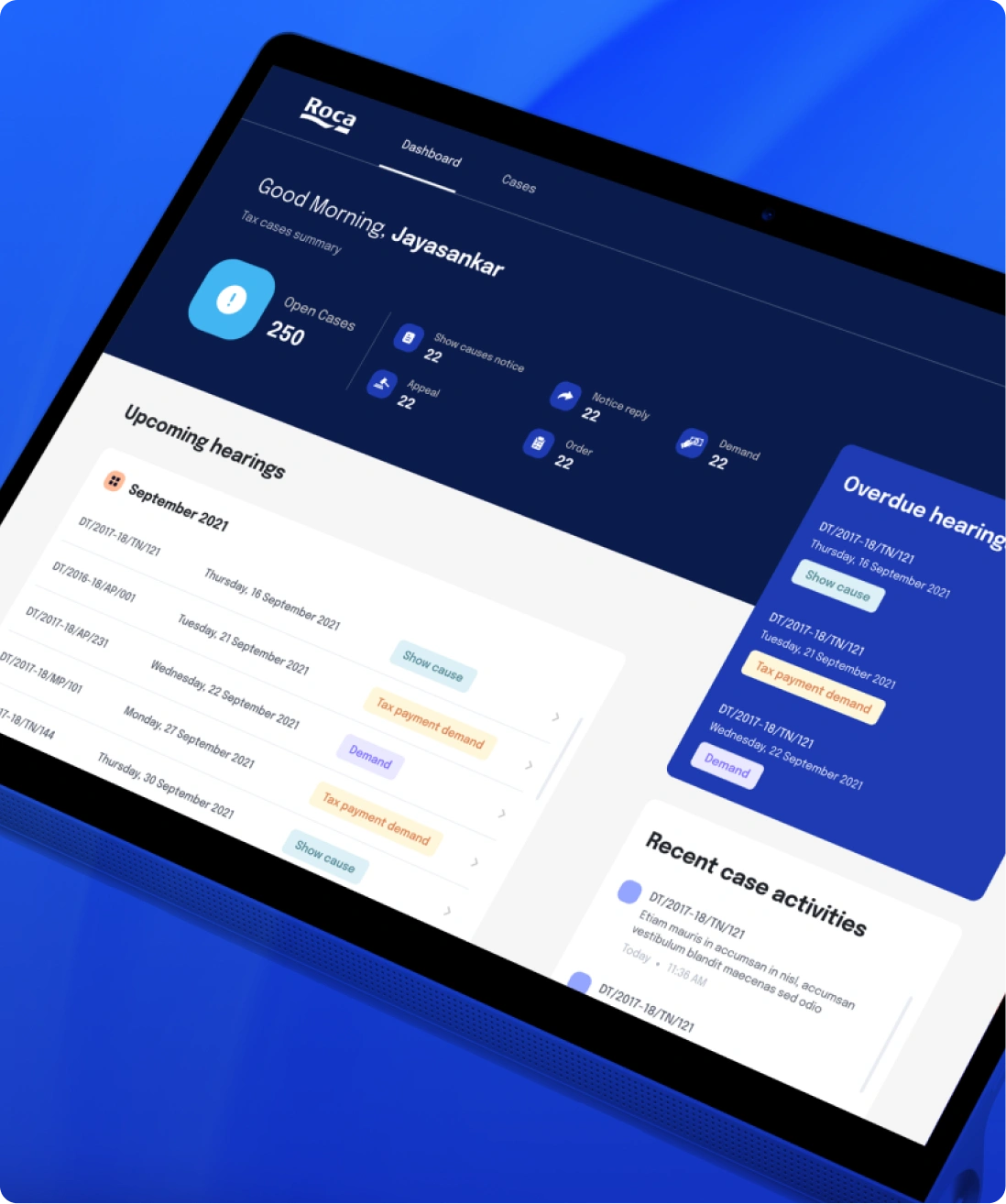 Roca enterprise dashboard and analytics platform design